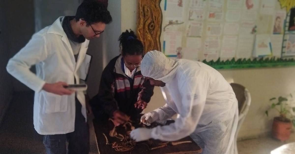 New Insights on Bones Discovered Near School in Sancti Spíritus