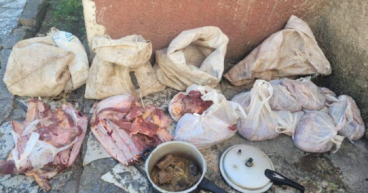 Police seize over 90 pounds of beef in Santiago de Cuba