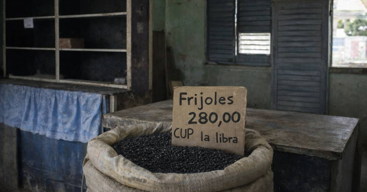 The Cuban regime sells beans for 280 CUP through the rationing booklet in Isla de la Juventud