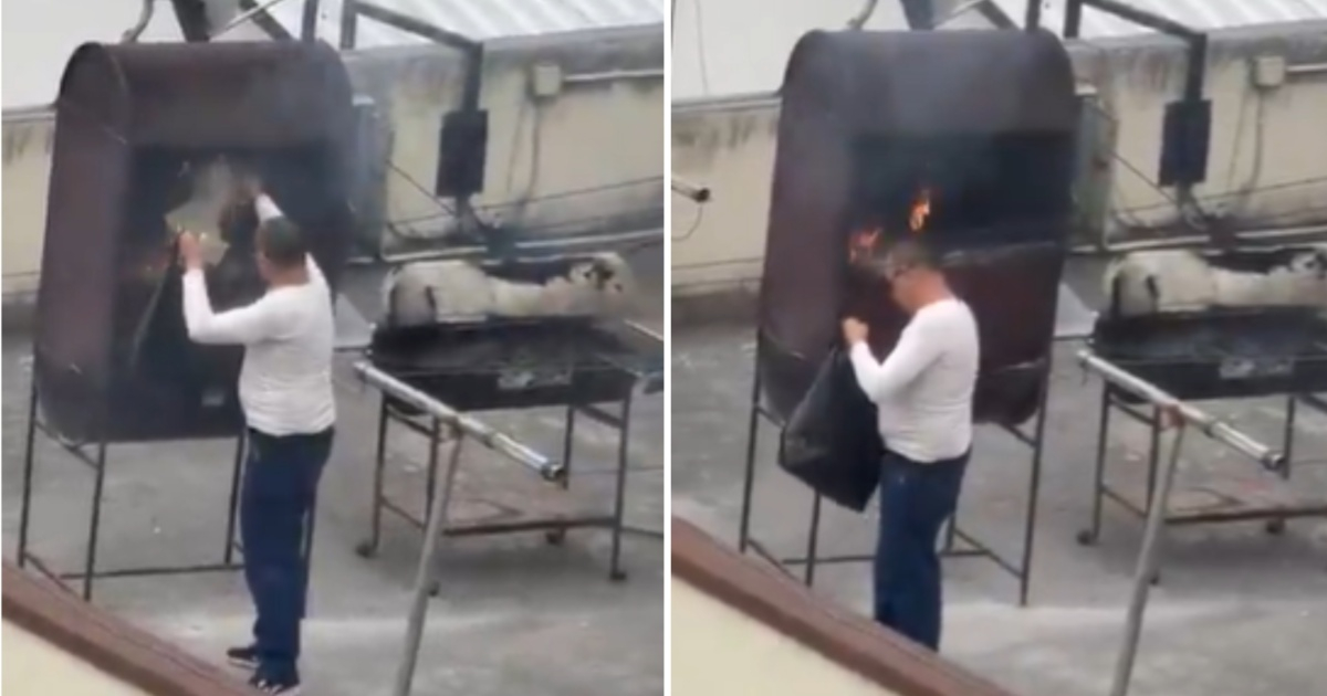 Cuban Embassy in Quito Allegedly Burns Documents Following Expulsion Order, Ecuador's President Claims