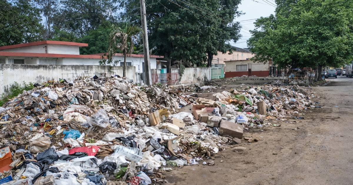 Two Fetuses Discovered in Artemisa Trash Bin Prompt Investigation