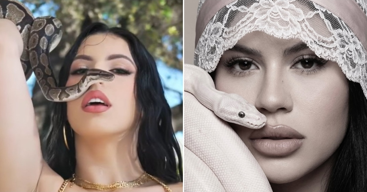 Who is copying whom now? La Dura poses with a snake, and social media remembers the video of Rachel Arderi