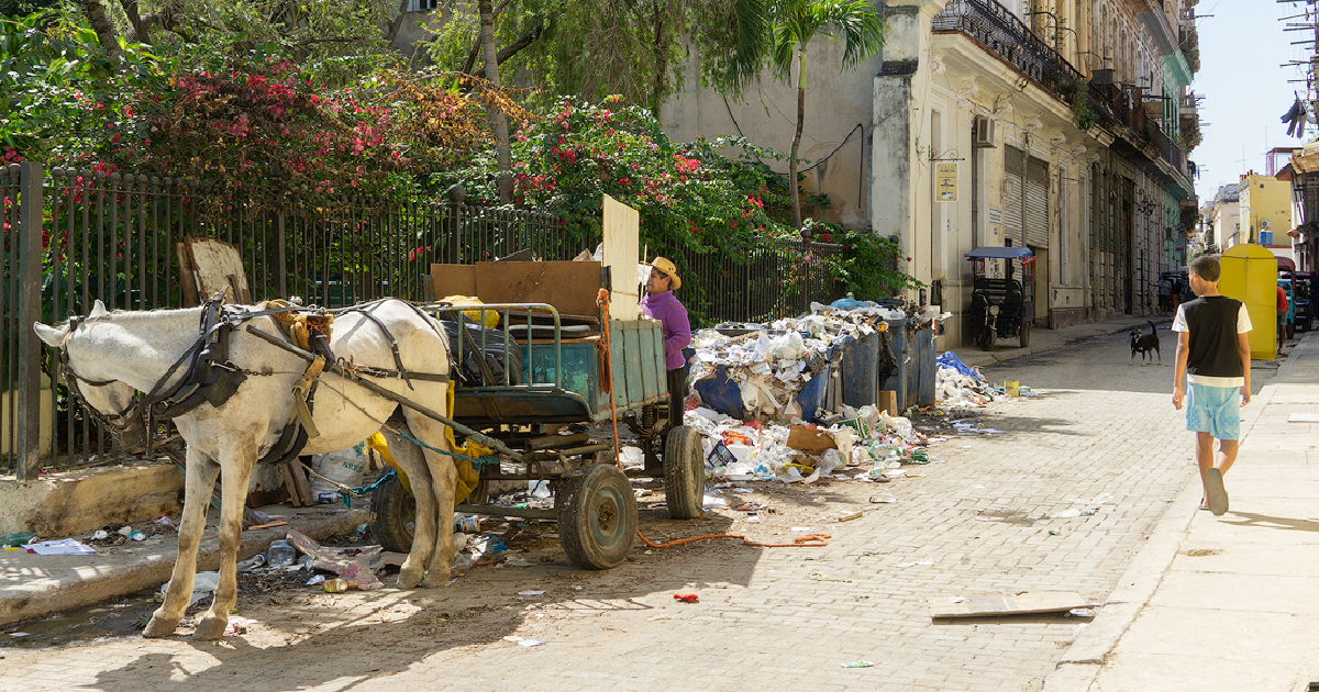 Cuban Government Redirects Idle Workers to Waste Collection and Food Production Amid Energy Crisis