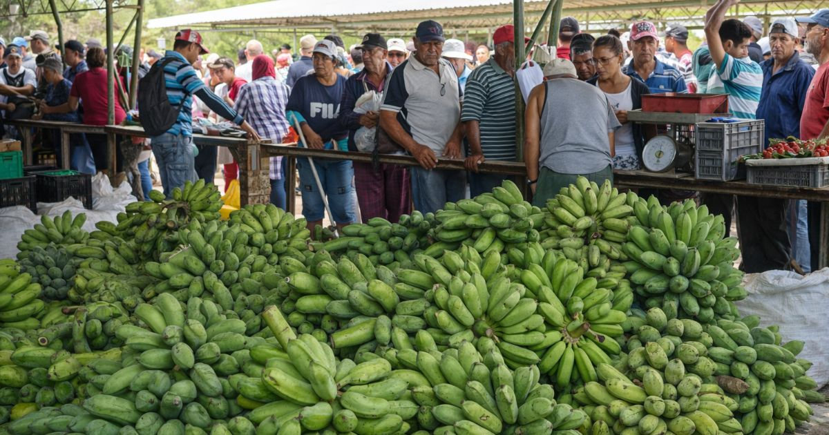 Controversy Erupts as Las Tunas Government Sells Seized Bananas to Locals