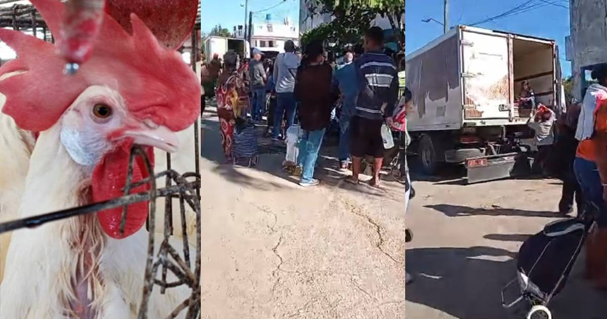 "At that price, there's something going on": suspicions on social media over a carton of eggs costing 900 pesos at the Playa fair in Havana