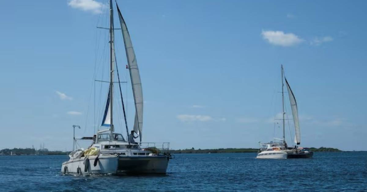 Catamarans Located by Mexican Navy Safely Arrive in Cuba