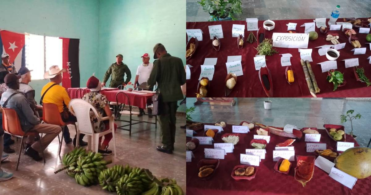 Criticism Erupts Over "Defense Foods" Display Amidst Shortages in Puerto Padre