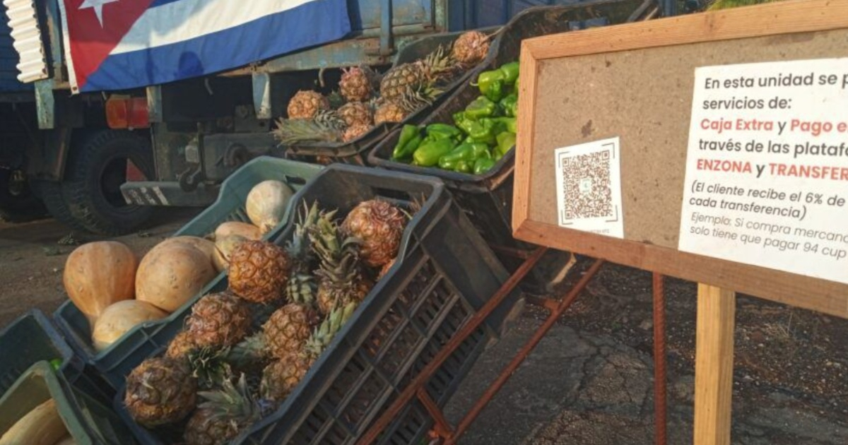 Why Farmers in Cuba Struggle to Produce: More Than Just Payment Issues