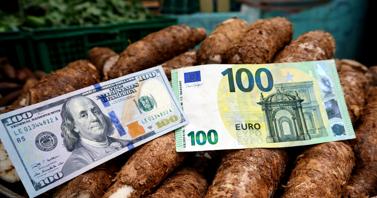 The dollar and the euro remain unchanged in Cuba while the MLC continues to fluctuate