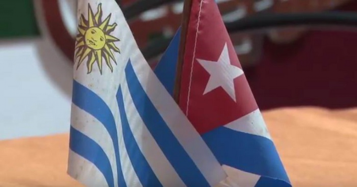 Uruguay will send 20 tons of powdered milk to Cuba via Mexico as humanitarian aid