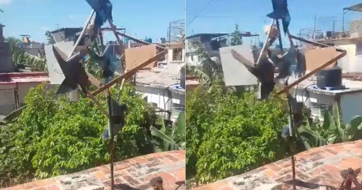 In Havana, An Automatic Pot Drummer is Born