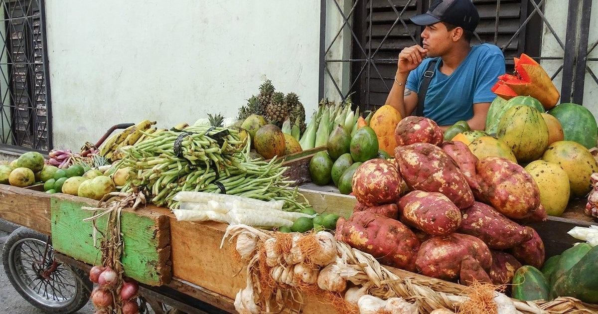 "In Cuba, there is food, but at impossible prices," claims influencer