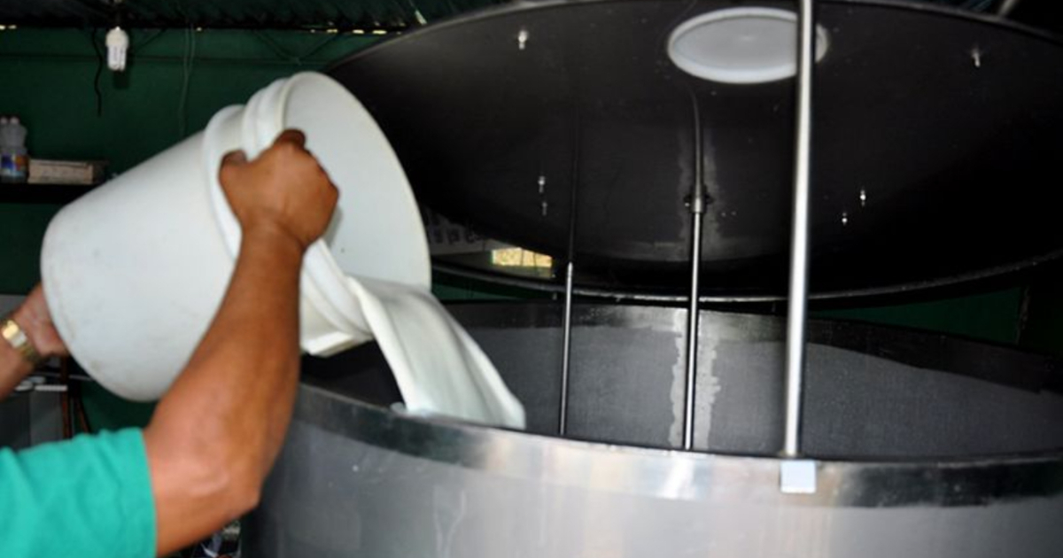 Scandal Uncovers Diluted Milk Distributed to Cuban Children