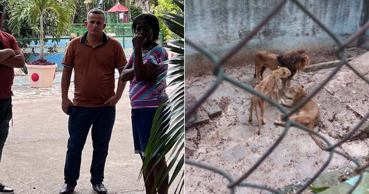 Zoo Director in Camagüey Claims "Animals Are Not Hungry" and Stops Residents from Feeding Them