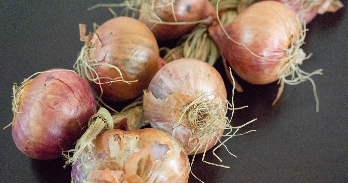 Onion prices reaching up to 900 pesos: This is how the prices are in Cuba