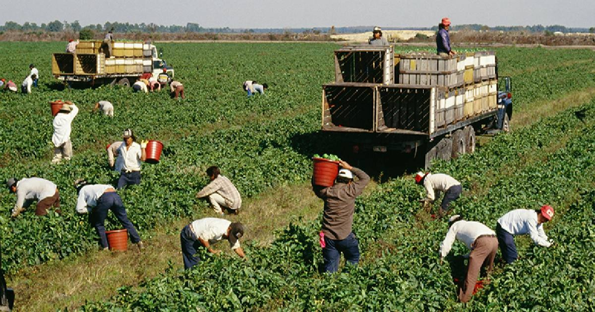 Trump Criticizes Immigration, Warns Against Becoming a "Third World" Nation