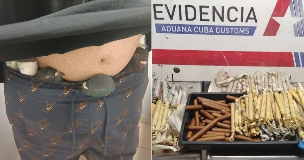 Cuban Customs Thwarts Smuggling of Nearly 2,000 Cigars and Live Birds at Havana Airport Heading to the U.S.
