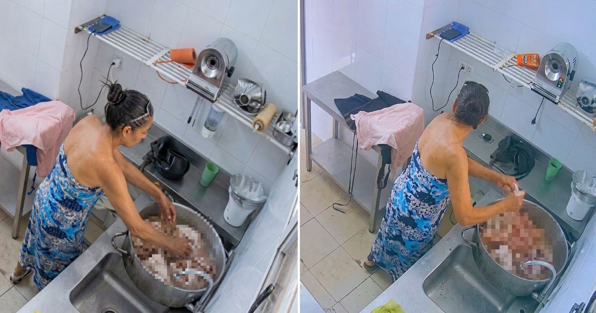 Woman Caught on Camera Stealing Meat from Havana Business