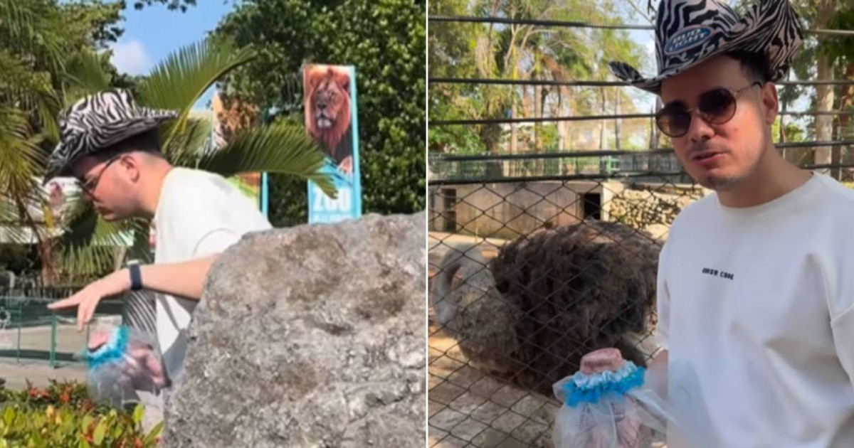 Sandro Castro Visits Havana Zoo, Uses Animals to Critique Cuban Regime