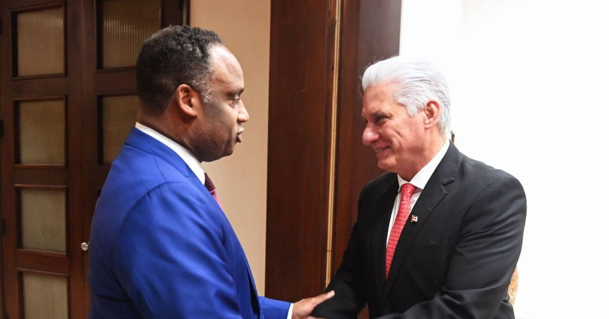 U.S. Congress Members Visit Cuba as Díaz-Canel Blames Trump for Nation's Crisis