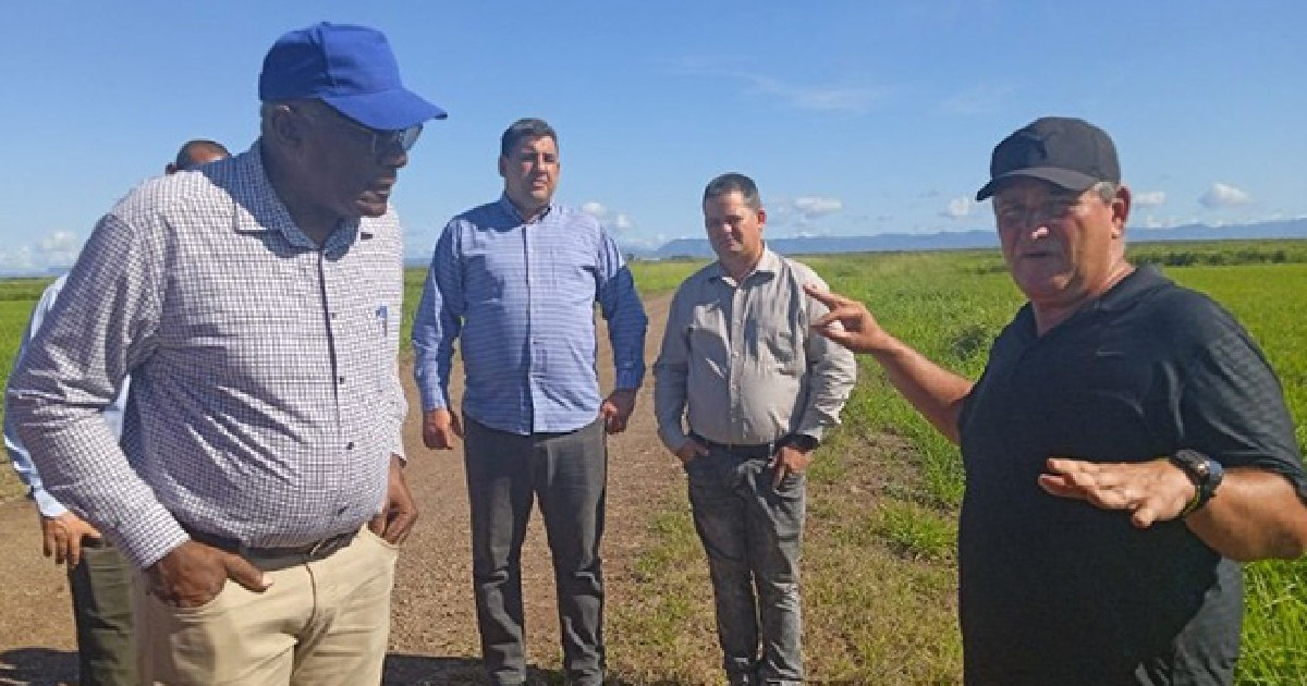 Valdés Mesa oversees alleged progress in rice planting in Cuba