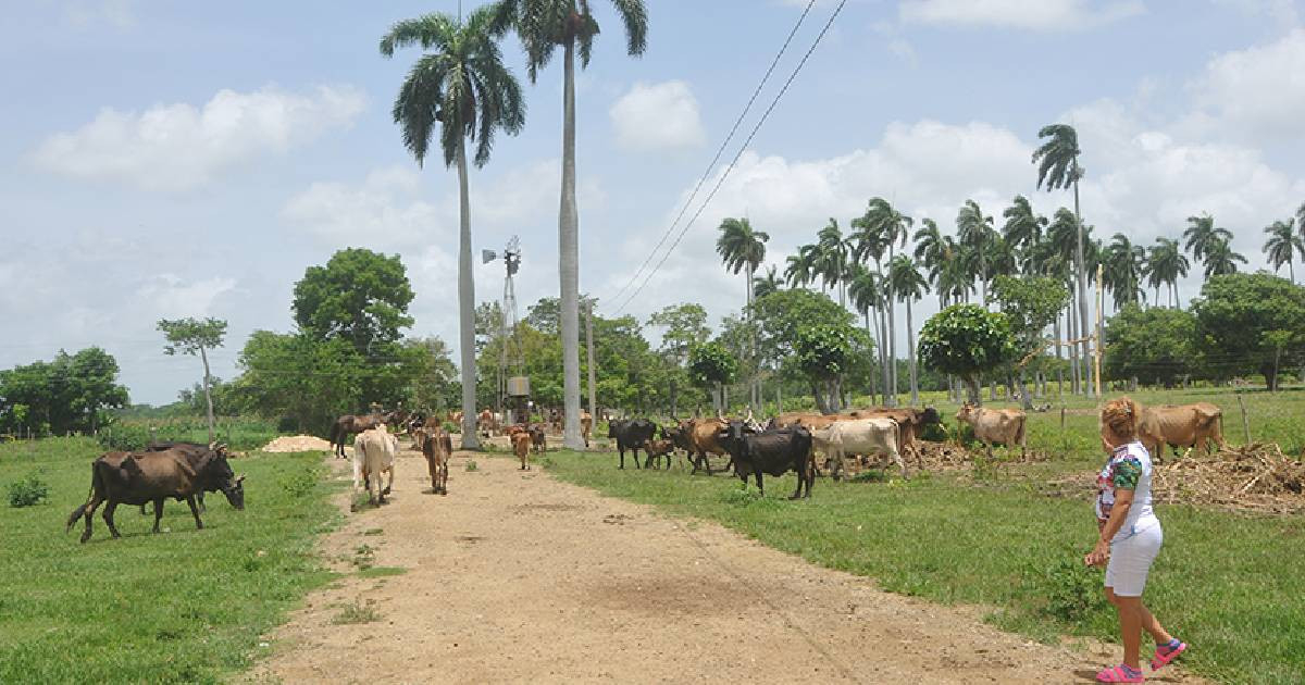 El llamado a "más esfuerzo" contrasta con la magnitud del colapso productivo que arrastra la provincia y el país © periódico 26/Reynaldo López Peña