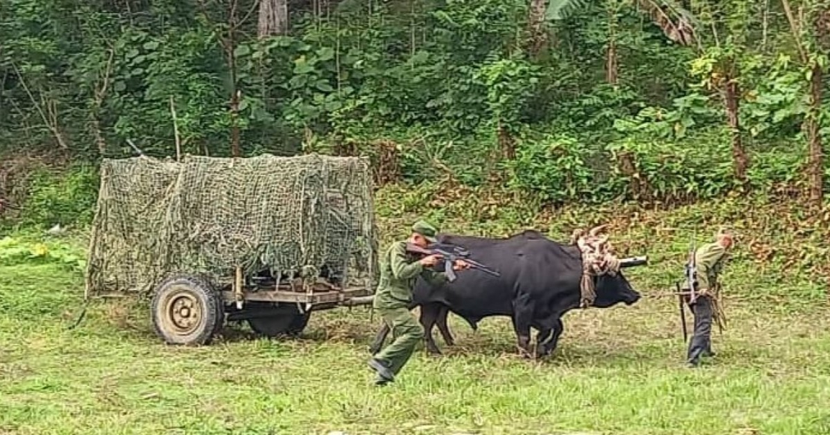 Cuban Military Exercises Spark Online Mockery Amid Economic Hardships