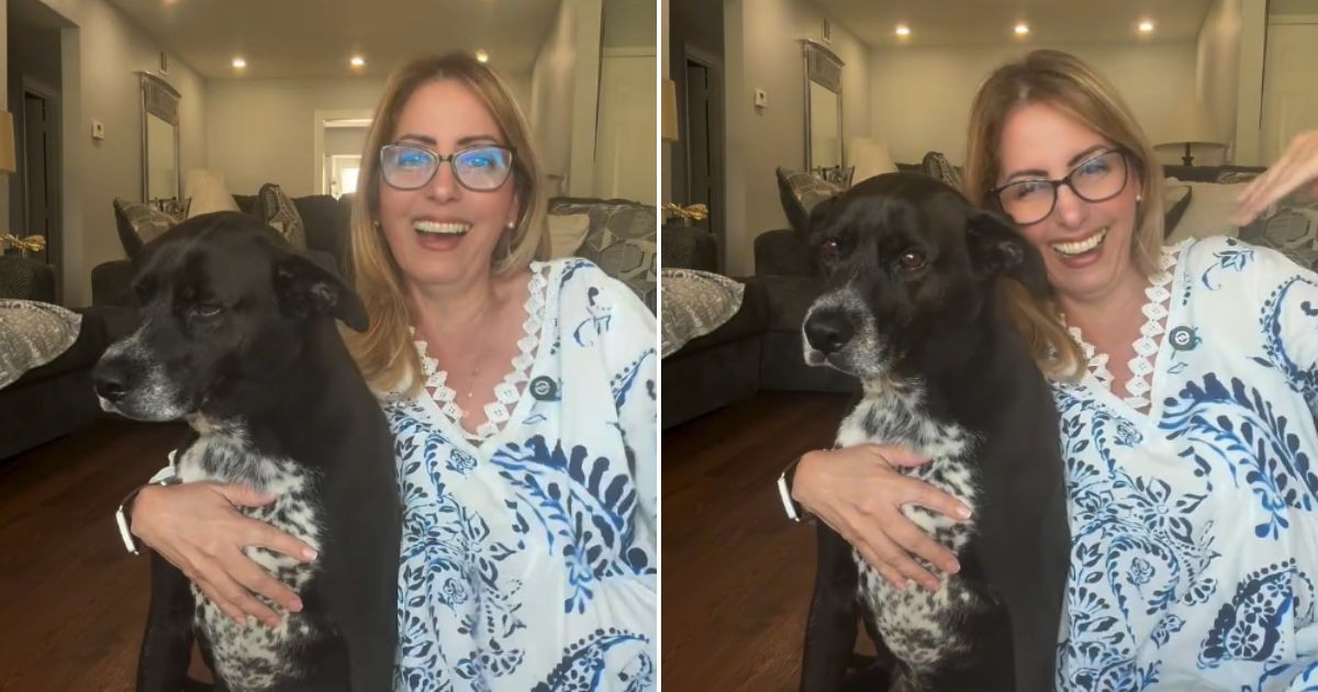 Viral Sensation: Lucas the Dog Basks in His CiberCuba Fame