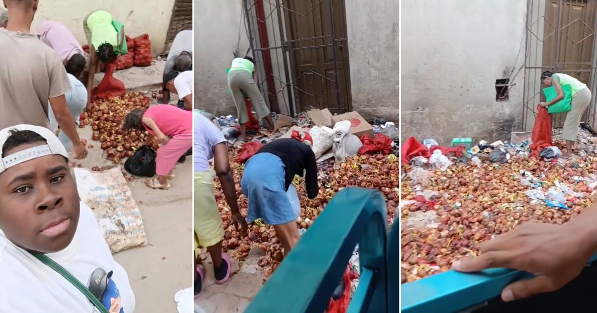 Heart-Wrenching Scene in Havana: People Forage for Onions in Trash