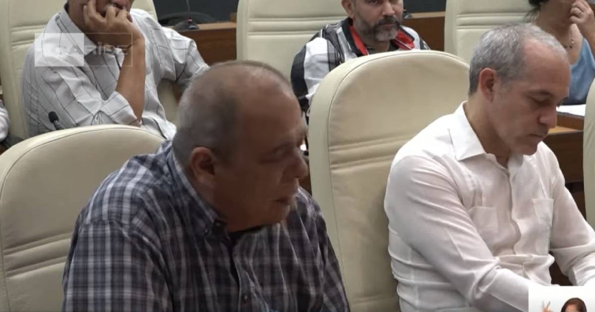 The regime insists on forest biomass as a solution to Cuba's energy crisis