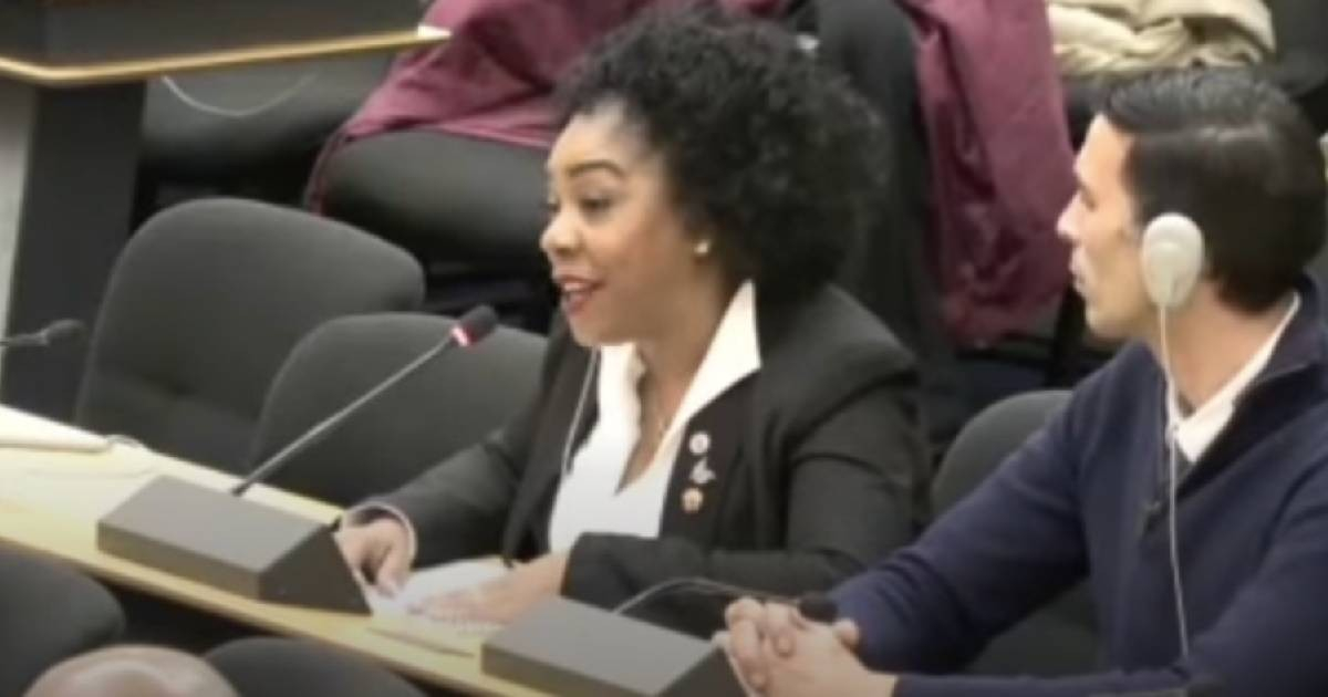 Cuban Activist Challenges Regime at UN, Sparking International Applause: "They Tried to Silence Me"