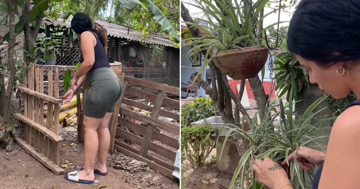 Can Cubans Make Money with Amazon? A Rural Woman Shares Her Story