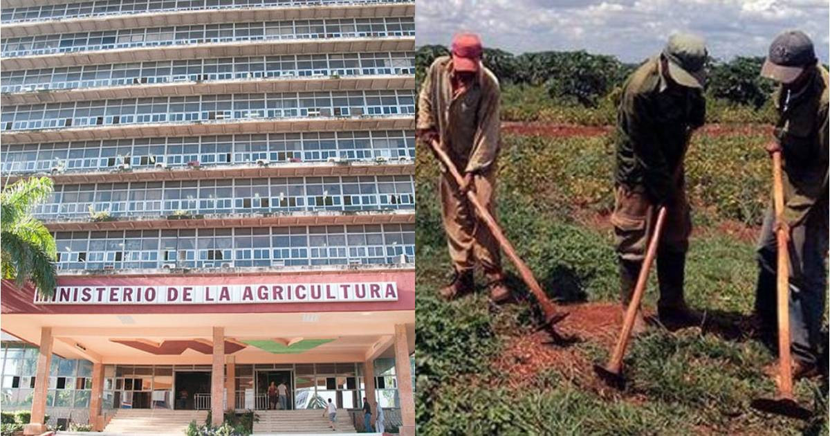 Private company reports that obstacles from Minag sabotage Cuban farmers' access to agricultural machinery