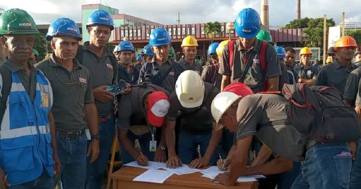 They warn that the Cuban regime imposes political loyalty pledges under threats of employment and administrative repercussions