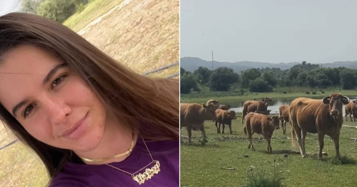 Cuban Expat in Spain Plants Trees and Welcomes New Calves on Her Farm