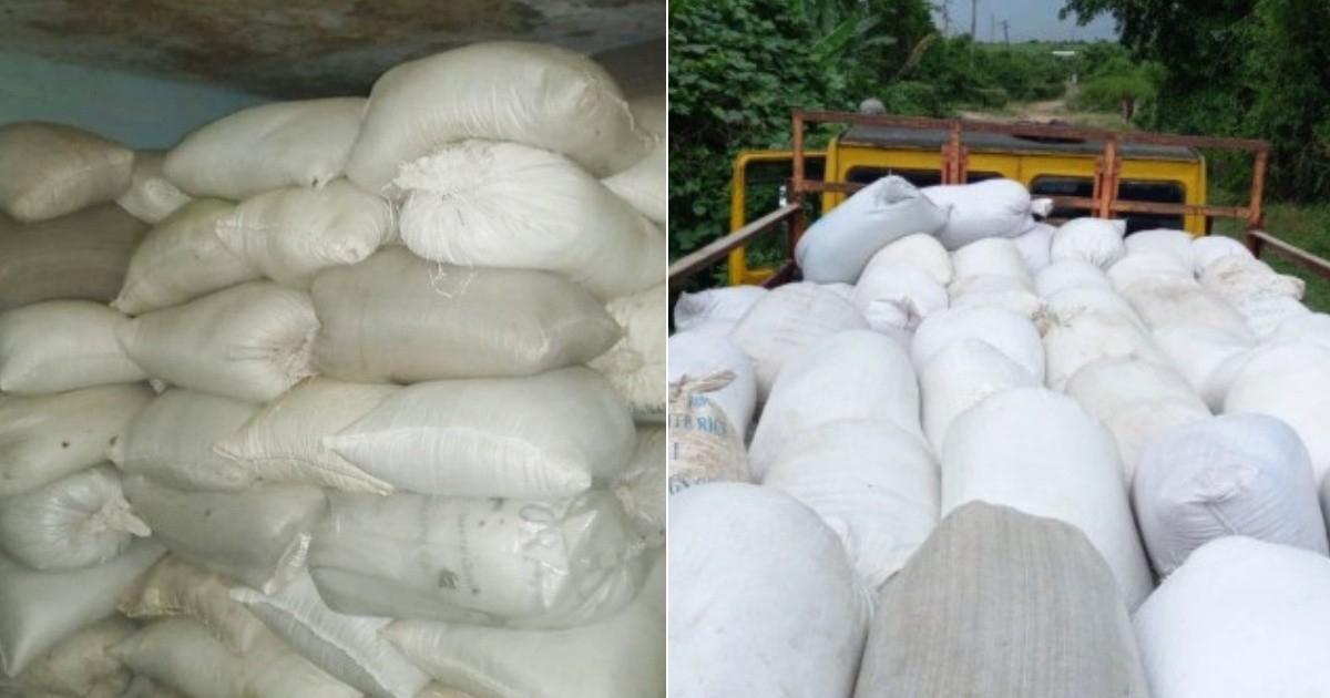 Over 270 Coffee Sacks Seized from Home in Santiago de Cuba