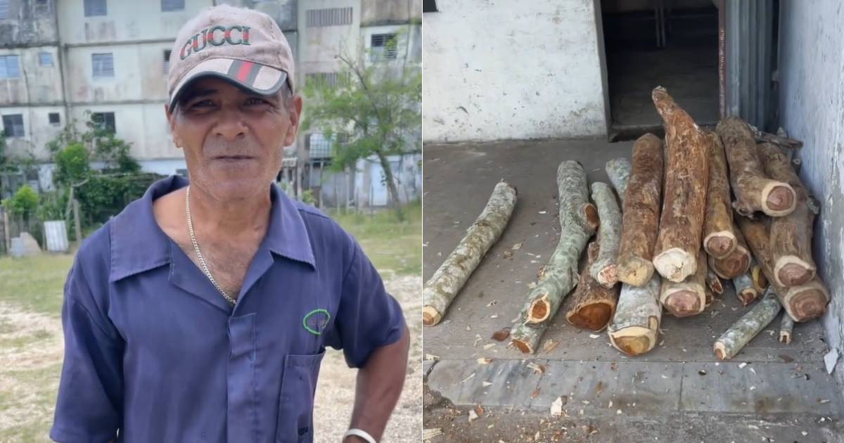 Cubans Resort to Primitive Methods to Keep Bread on the Table