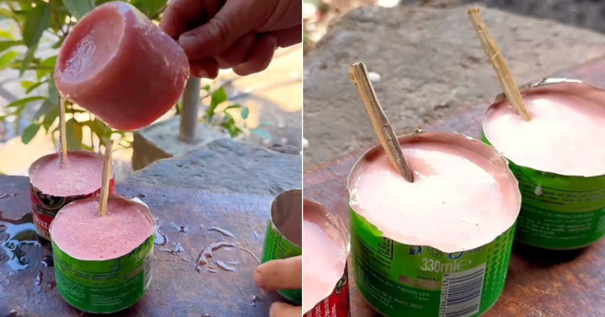 Who Wants It? Discover the Cuban Guava Popsicle Recipe You Didn't Know You Needed
