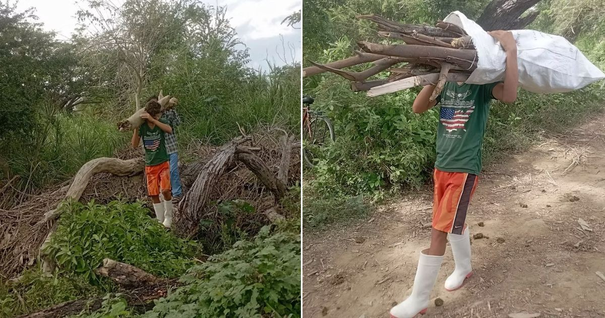 "Struggling with School and Firewood: A Cuban Teen's Daily Challenge"