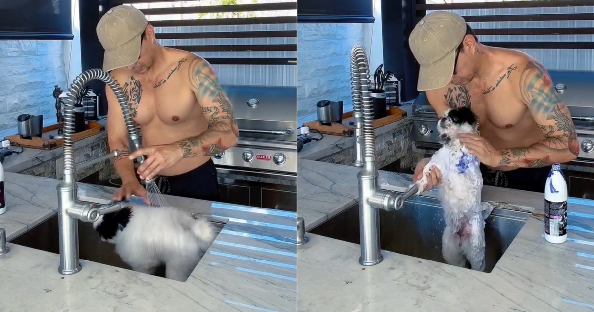 Leoni Torres Sparks Controversy by Bathing Dog in Sink, Ignites Social Media Debate