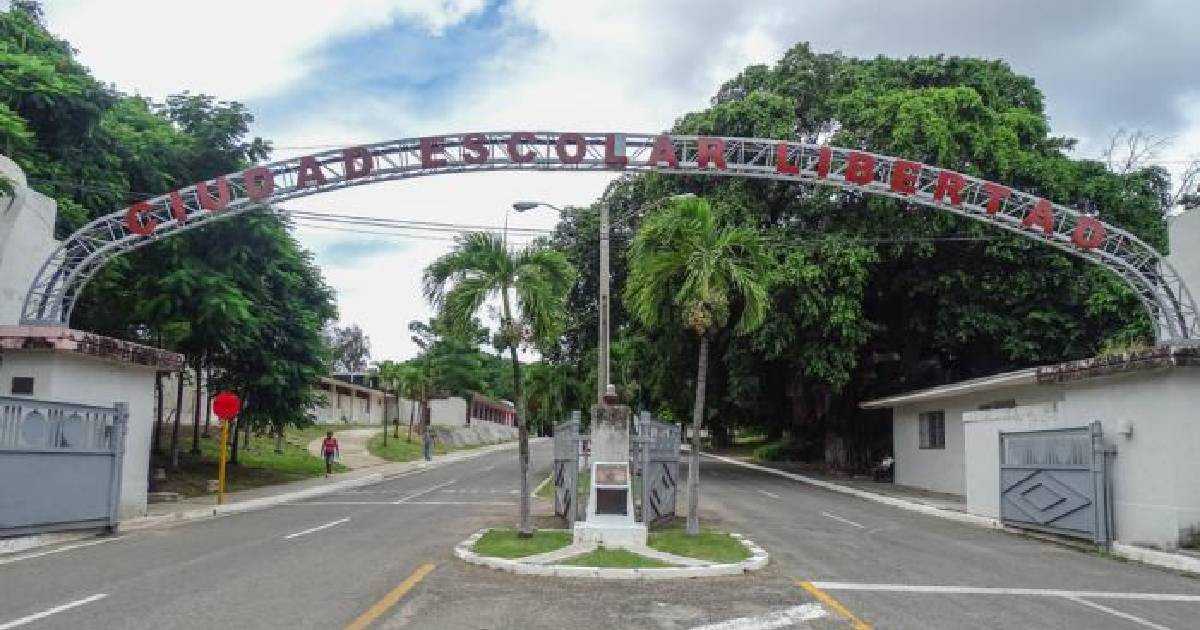 Cuban Teacher Barred from Practicing After Criticizing Economic Situation with a Pot Display