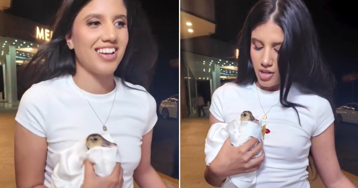 Melanie Santiler Causes a Stir in Havana with Swan at Concert: "It's Not an Accessory"