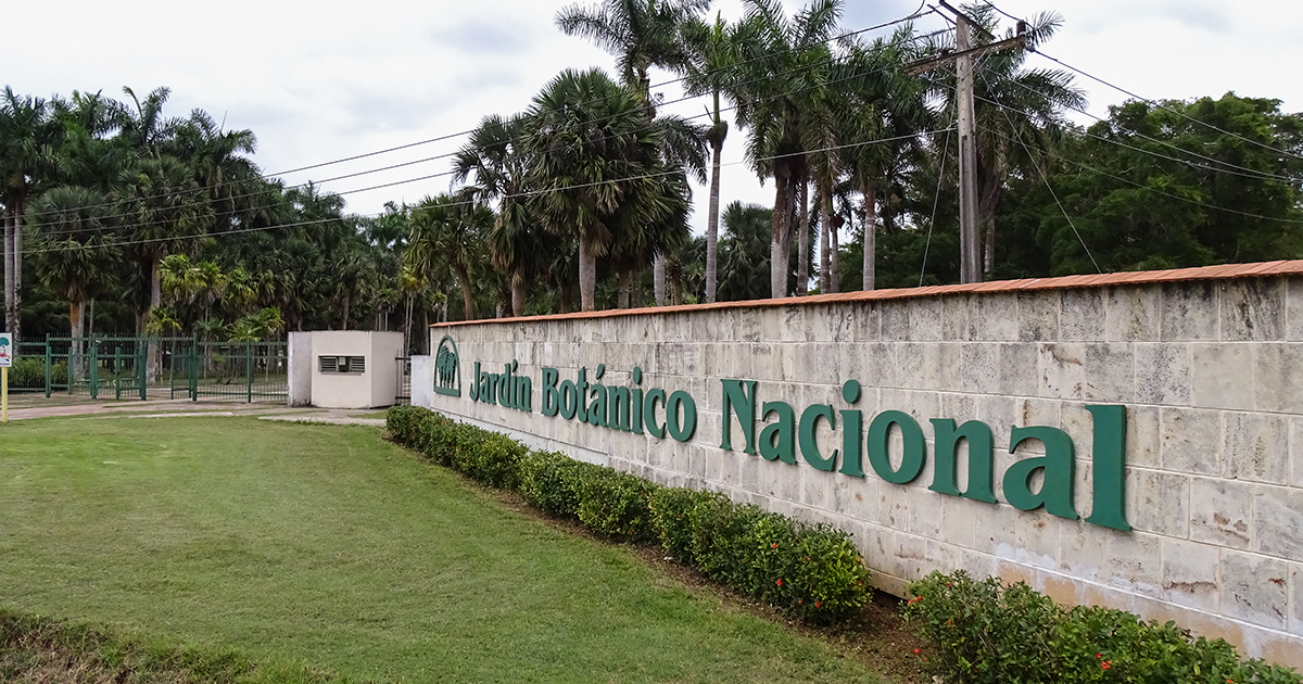 Cuban Botanical Garden Explores Energy Generation from Waste Amid Closure
