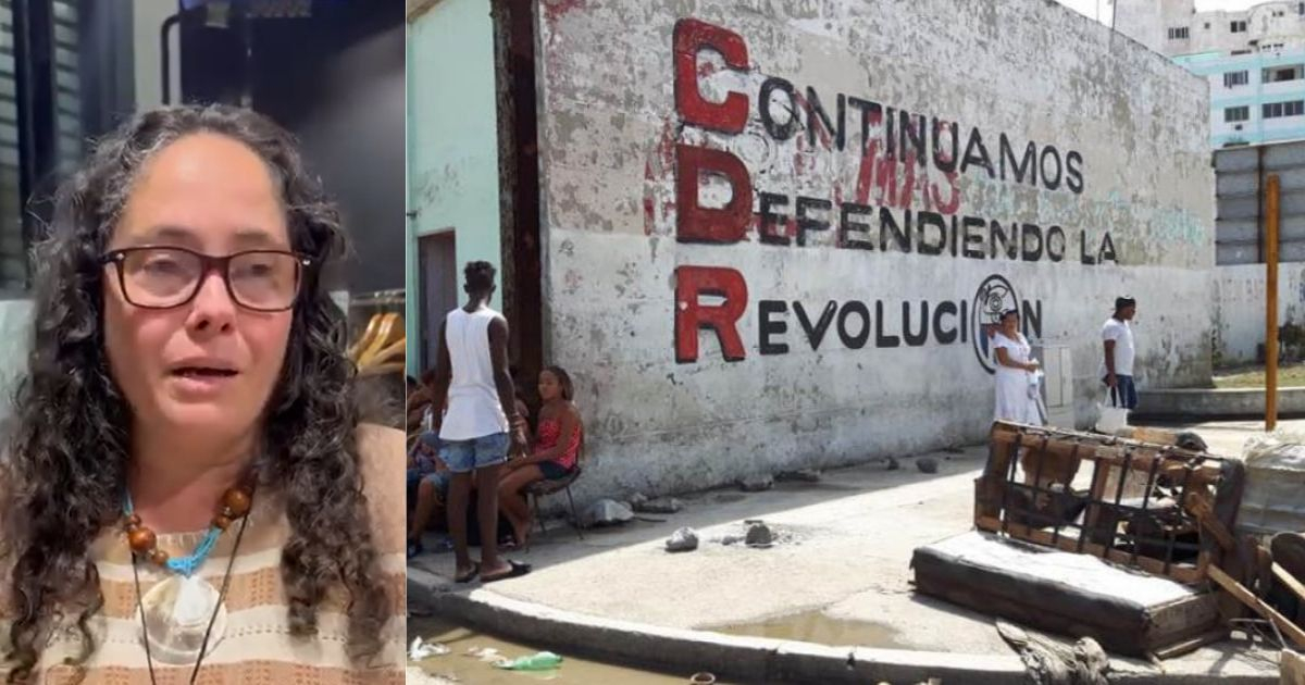 Cuban Scholar Examines the Totalitarian Grip and the Persistent Desire for Change