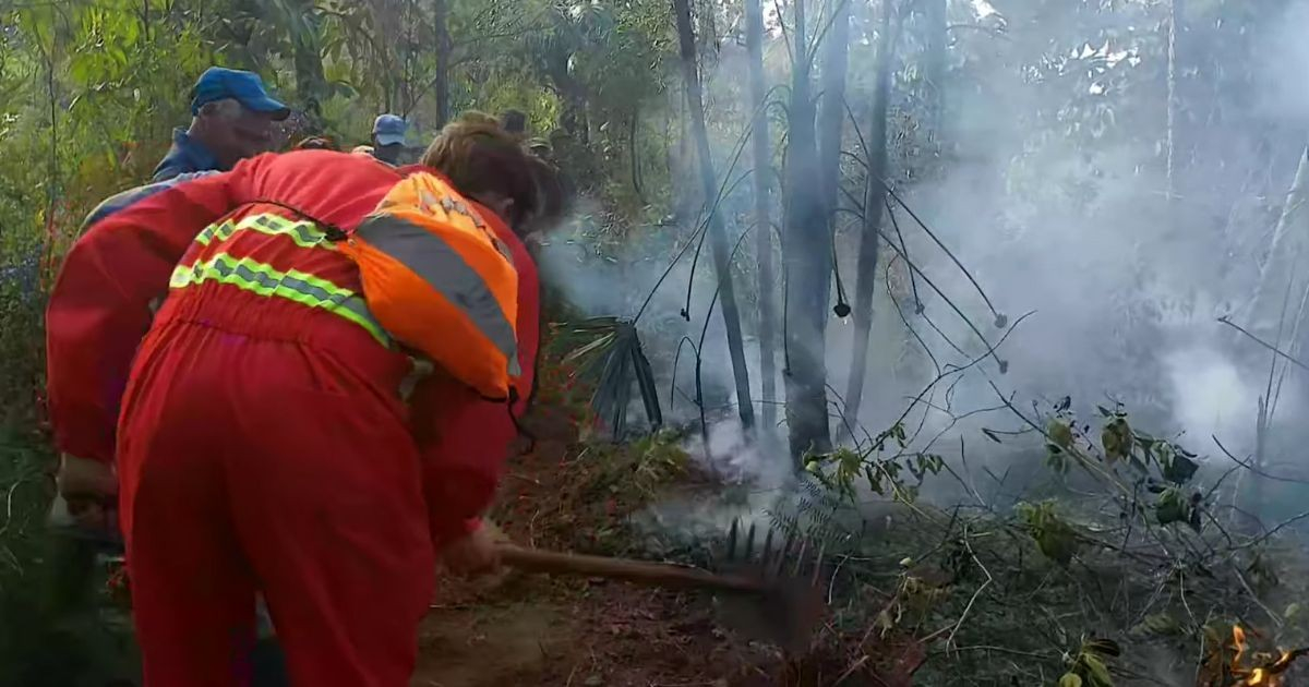 Over 100 Wildfires Hit Cuba in the First Four Months of 2026
