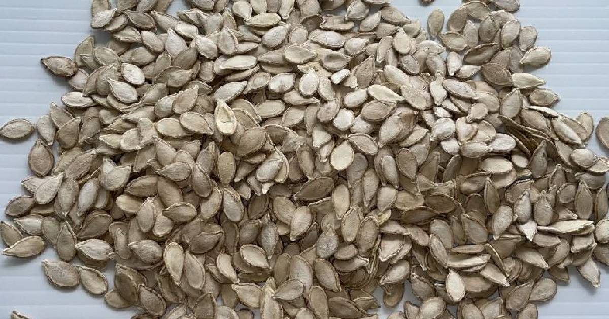 Cuban State Media Promotes Seed Consumption as Solution to Food Crisis Amid Widespread Hunger