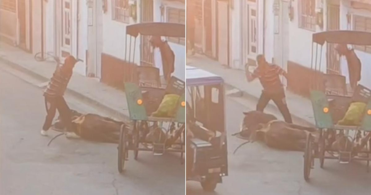 Shocking Video: Coachman Whips Collapsed Horse in Holguín Streets