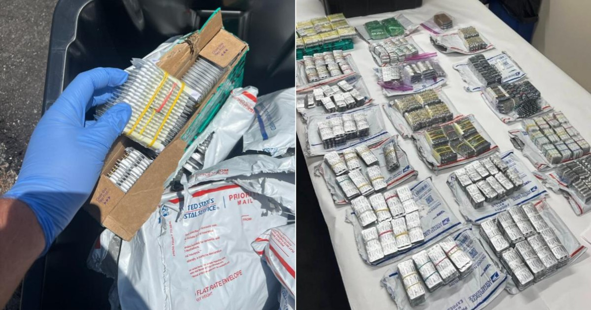 Florida Traffic Stop on I-95 Leads to Seizure of 31,000 Illegal Pills from Undocumented Immigrant