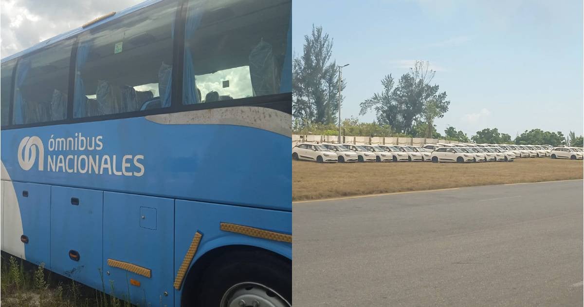 Cuba Acquires 20 Yutong Buses and 200 Vehicles for Dialysis Services Amidst Energy Crisis