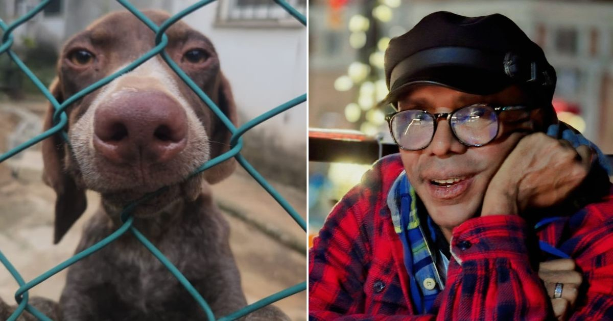 Dogs Rescued Following Allegations of Neglect Against Pro-Regime Composer Raúl Torres